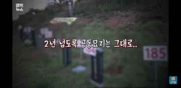 공동묘지 묘세권. 바로앞에 묘지가있는 전남의 아파트 | 인스티즈
