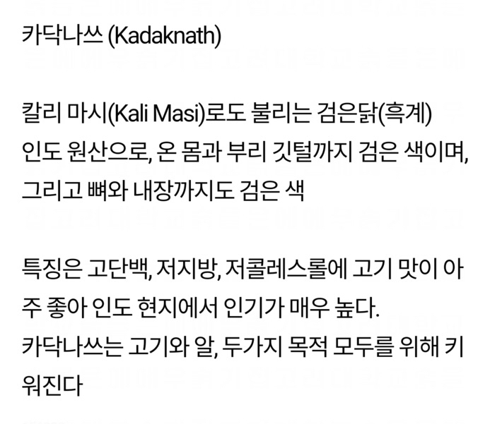 간지나는 검은 닭.jpg | 인스티즈