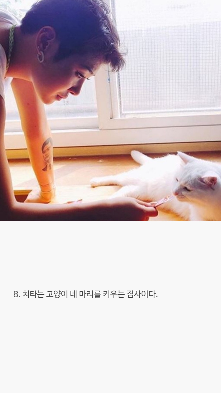 한국 랩퍼들에 대한 tmi | 인스티즈