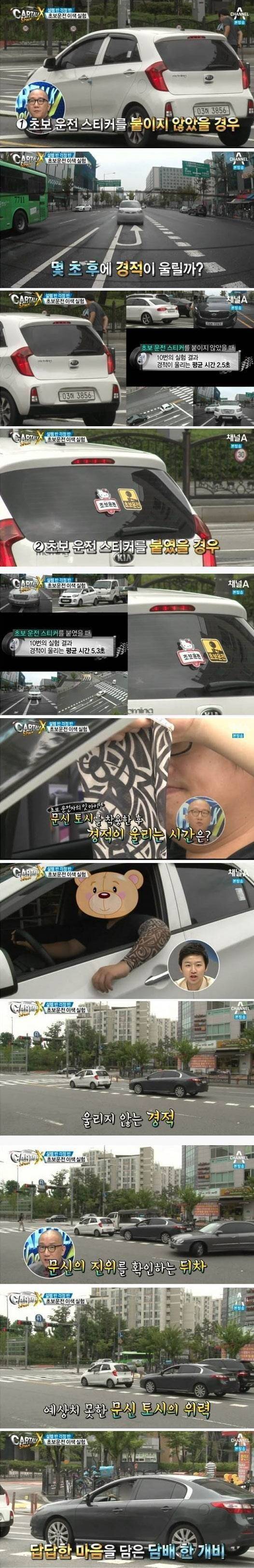 대한민국 운전자 필수아이템.jpg | 인스티즈