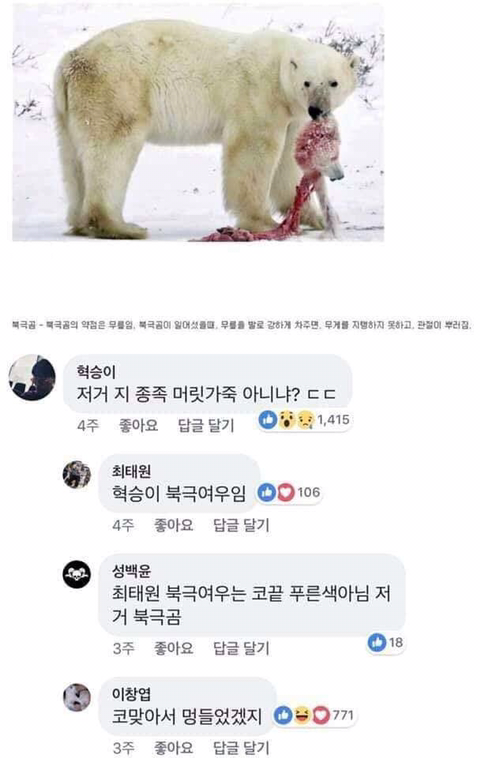 동물이랑 싸워서 이기는 법 | 인스티즈