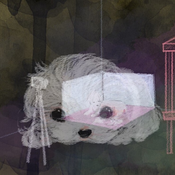 애견샵 불편한 진실 | 인스티즈