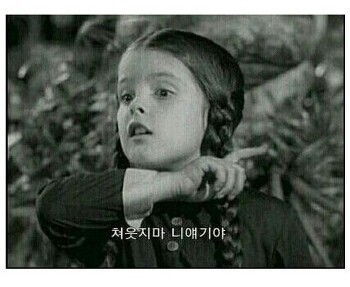 각종 짤방 대 방출 | 인스티즈