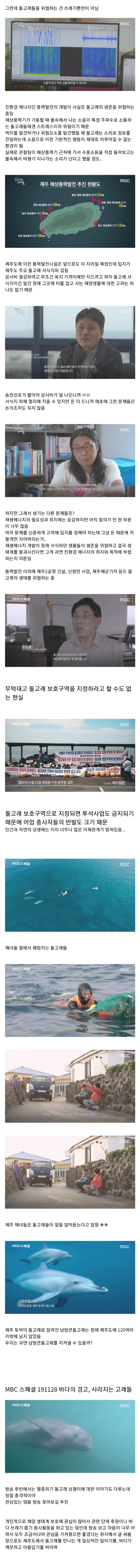 제주도에서 발견된 암에 걸린 돌고래 | 인스티즈