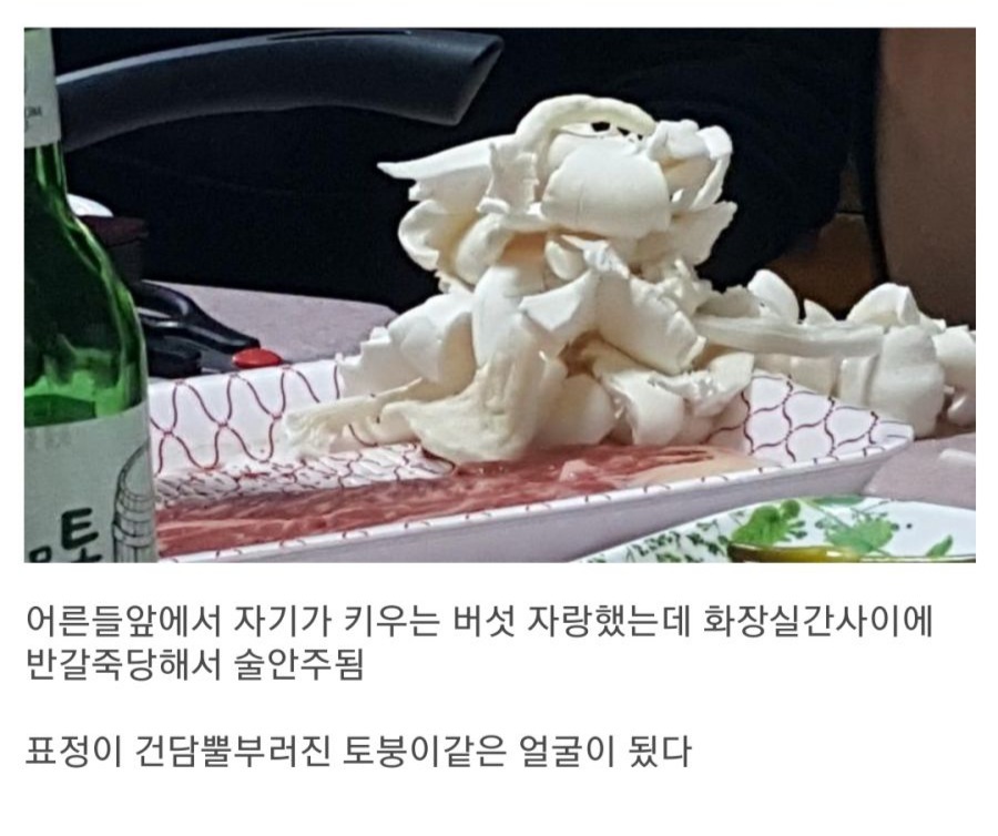 동생의 반전 세계 | 인스티즈