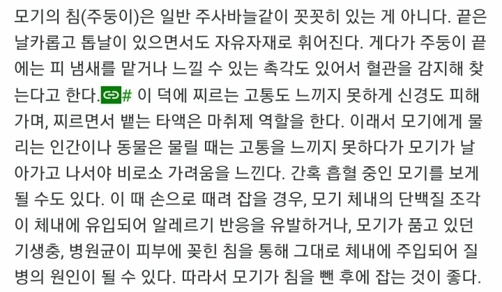 모기에대한 tmi | 인스티즈