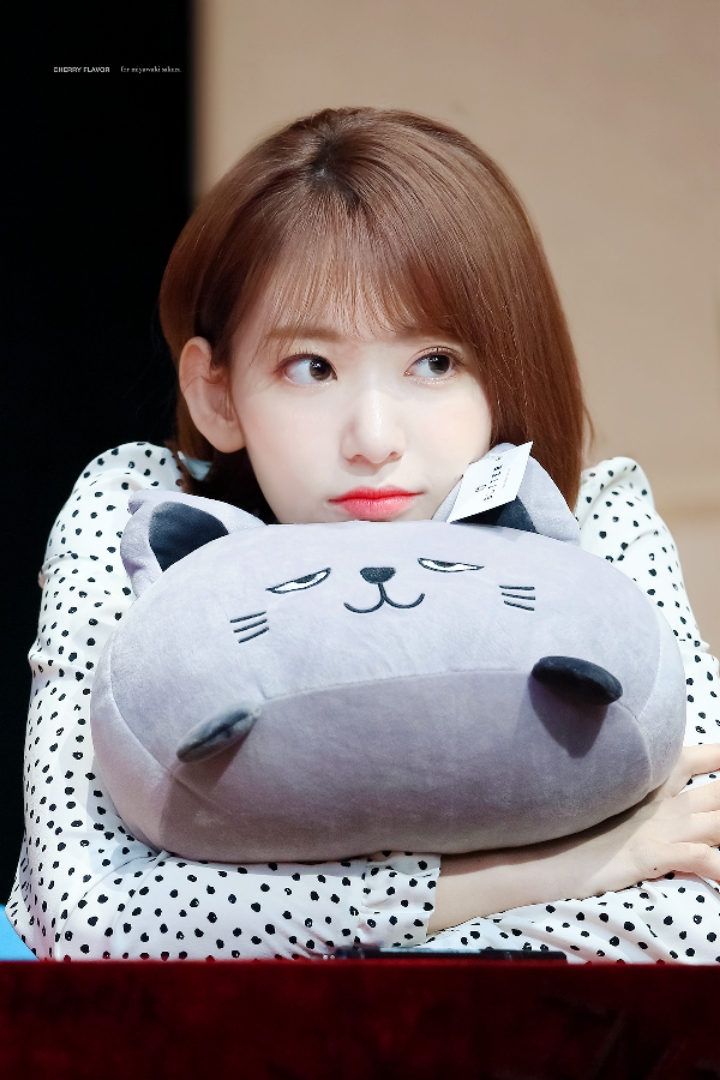 아침을 여는 아이즈원 미야와키 사쿠라 | 인스티즈