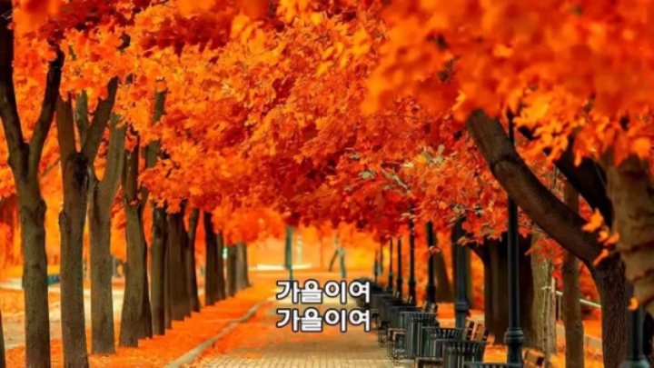 사계절중 유일하게 여자보다 남자가 더 코디하기 좋은옷이 많은계절.jpg | 인스티즈