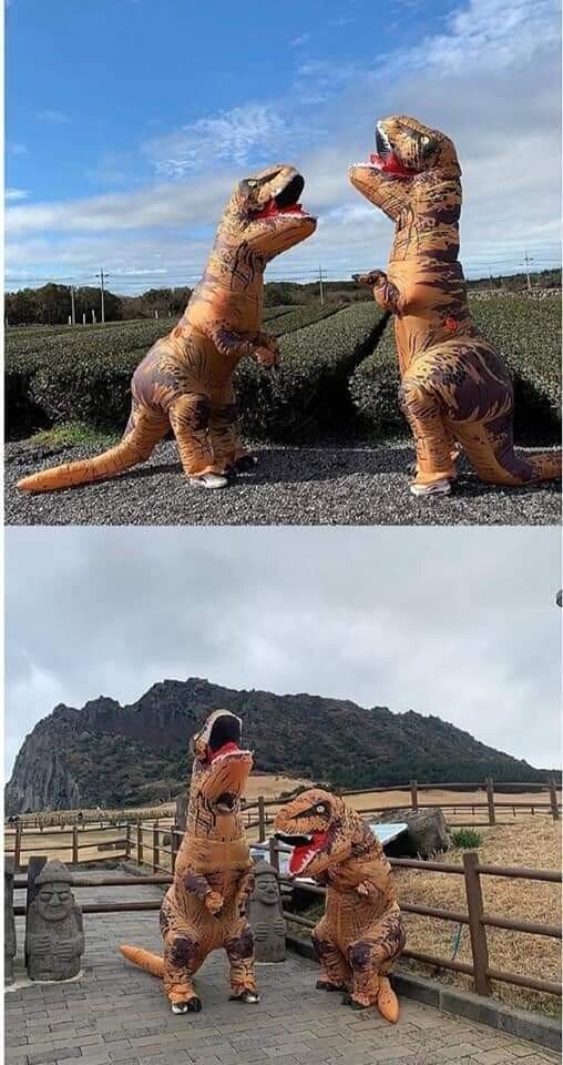 인싸 커플들이 여행을 즐기는 방법 | 인스티즈