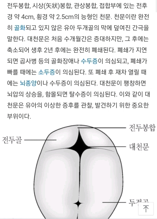 갓난애기 머리 함부로 만지면 안되는 이유 | 인스티즈