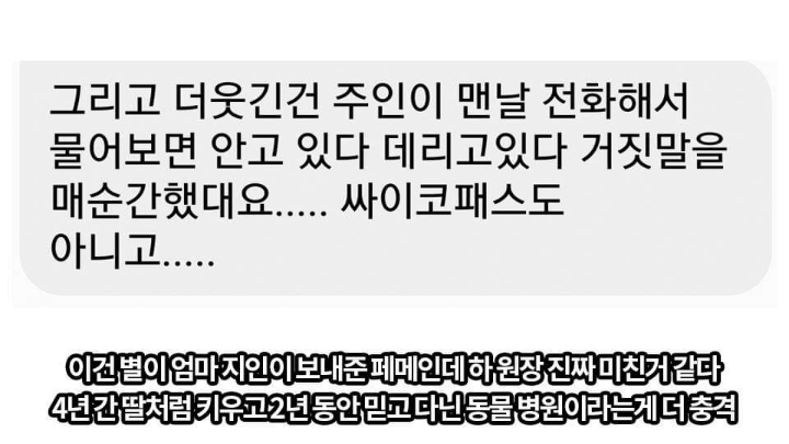 반려견 최악의 사건.jpg | 인스티즈