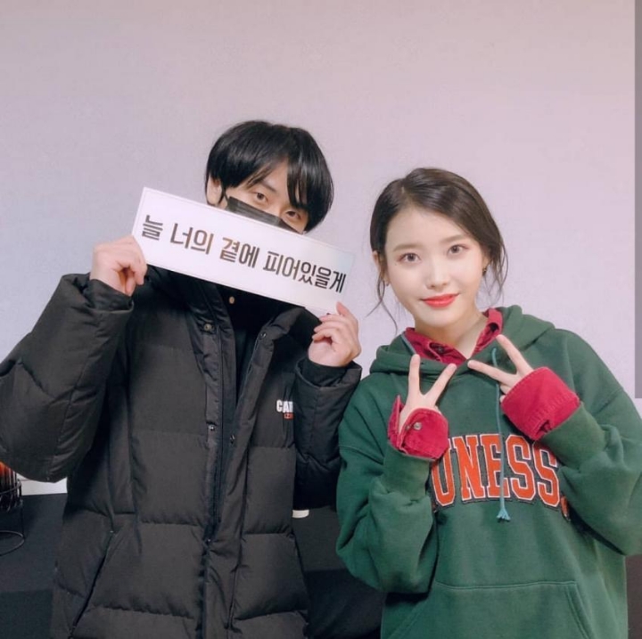 아이유 서울 일요일 콘서트에 온 연예인 .gif | 인스티즈