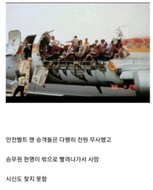 비행기 안전벨트 메야하는이유 | 인스티즈