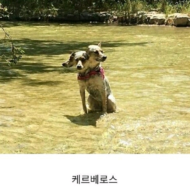 파노라마 사진 대참사 | 인스티즈