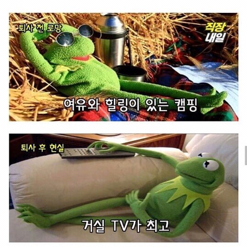 퇴사 전 로망, 퇴사 후 현실.JPG | 인스티즈