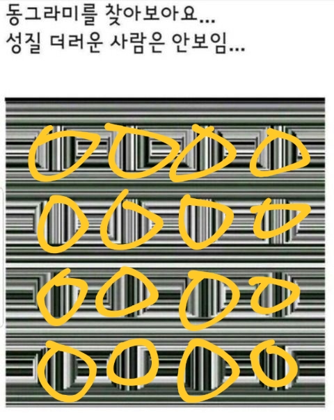 성격 급한 사람은 절대 찾을 수 없는 동그라미 | 인스티즈