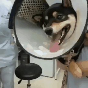 ㅇ0ㅇ ㅇㅇ ㅇ0ㅇ ㅇㅇ ㅇ0ㅇ ㅇㅇ... ㅇ0ㅇ..!!!! | 인스티즈