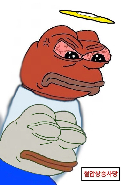 우리 개구리 페페 모음 | 인스티즈