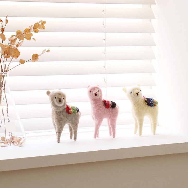 다이소 신상 알파카.....jpg | 인스티즈