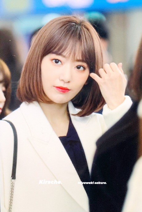 아이즈원 사쿠라 | 인스티즈