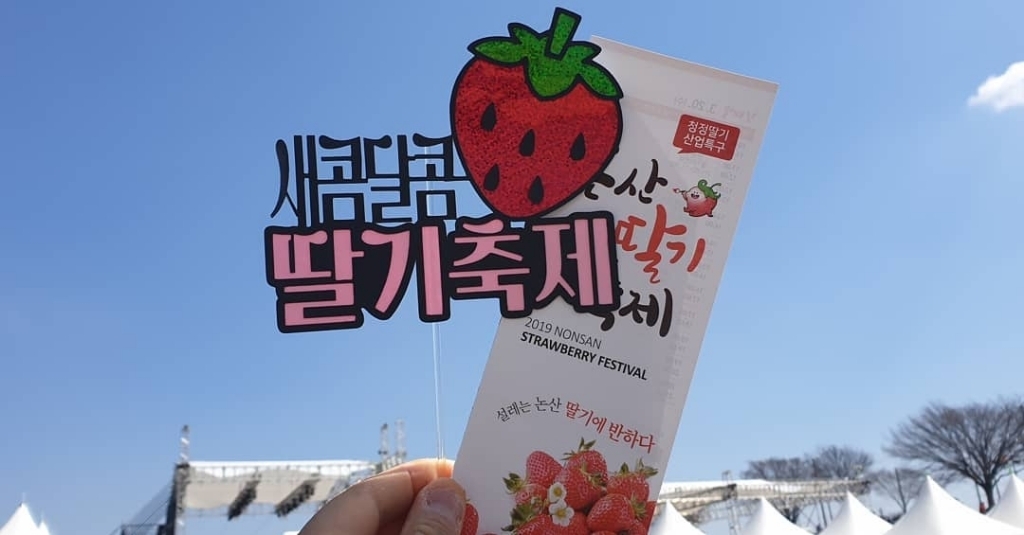 코로나 때문에 취소됐다는 논산딸기축제.......jpg | 인스티즈