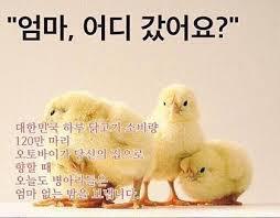 마구치킨 이미지