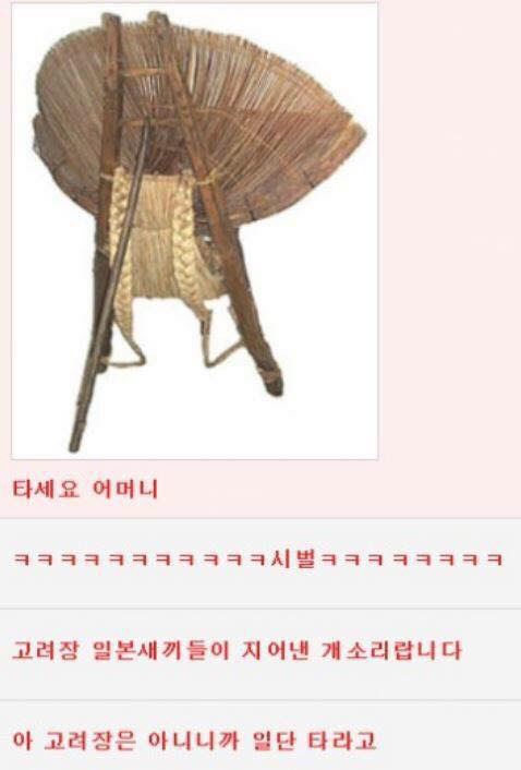 웃대 호쌍새 모음 | 인스티즈