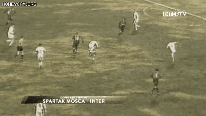 전성기 호돈신 | 인스티즈