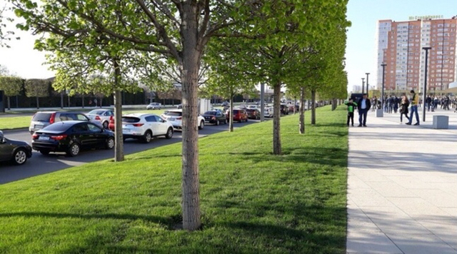 이모, 여기 두 장 같은 한 장 사진 주세요 | 인스티즈