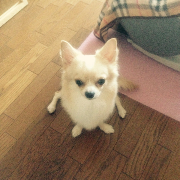 피규어 장인 근황.JPG | 인스티즈