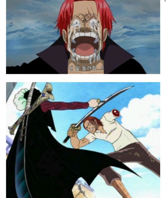 재미로보는 원피스 전투력 top21 | 인스티즈