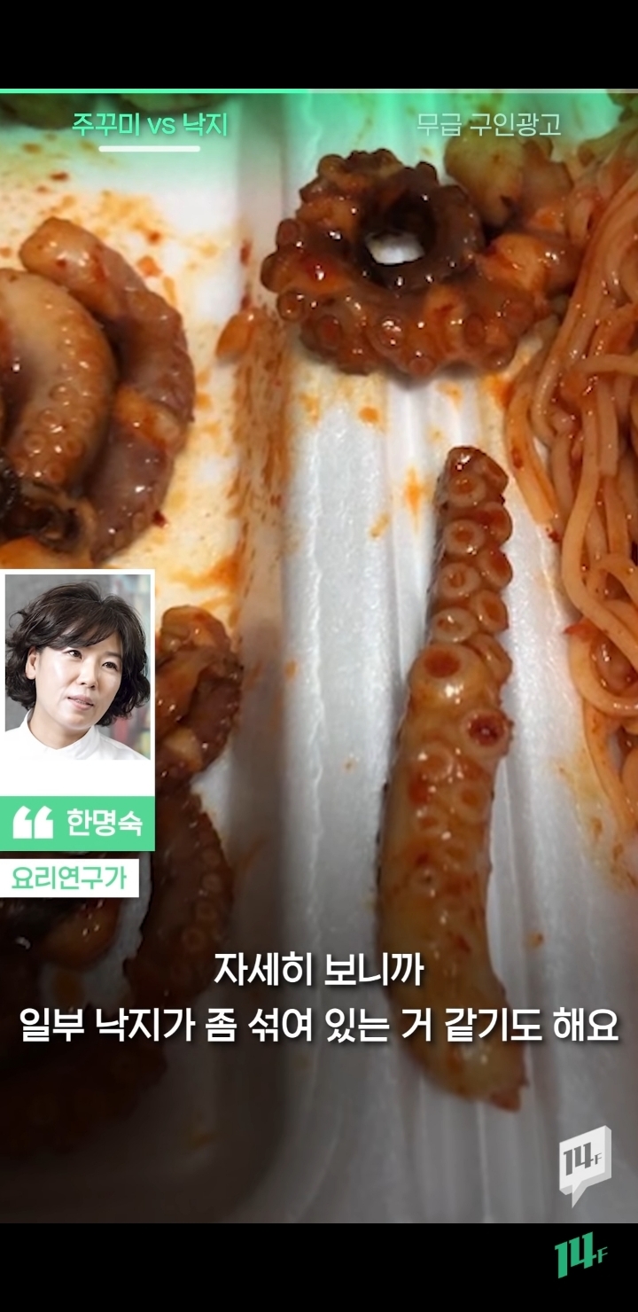 얼마전 낙지냐 쭈꾸미냐 논쟁의 전문가 의견 | 인스티즈