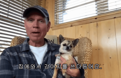 개를 만지는건 스트레스를 줄여주죠 . gif | 인스티즈