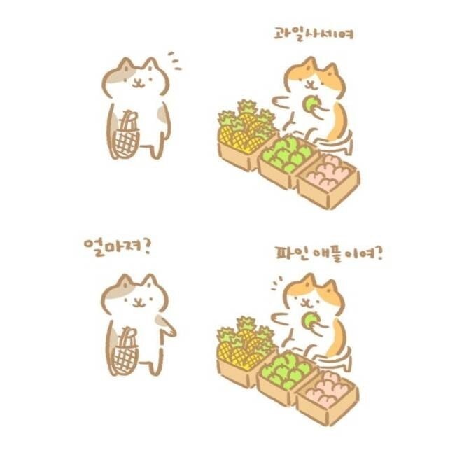 과일파는 냥이.manhwa | 인스티즈