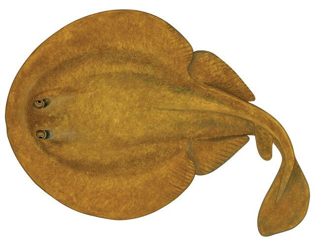 소크라테스가 활동 초창기에 무시당했던 이유.JPG | 인스티즈