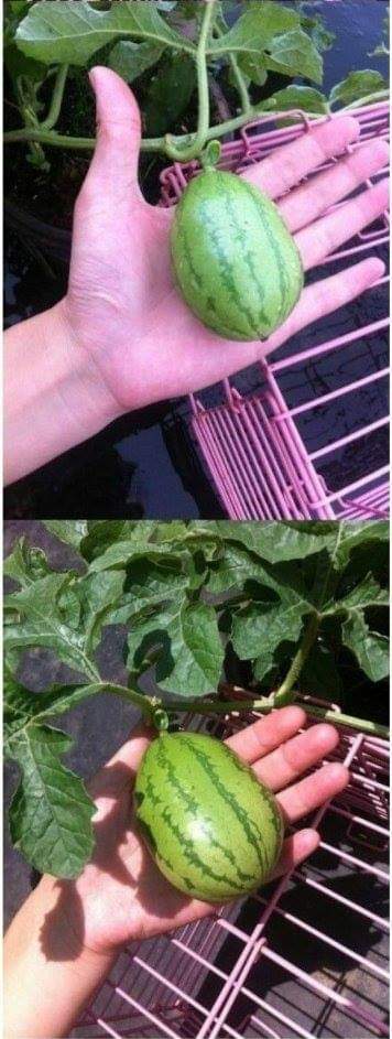 다시보는 고전.jpg | 인스티즈