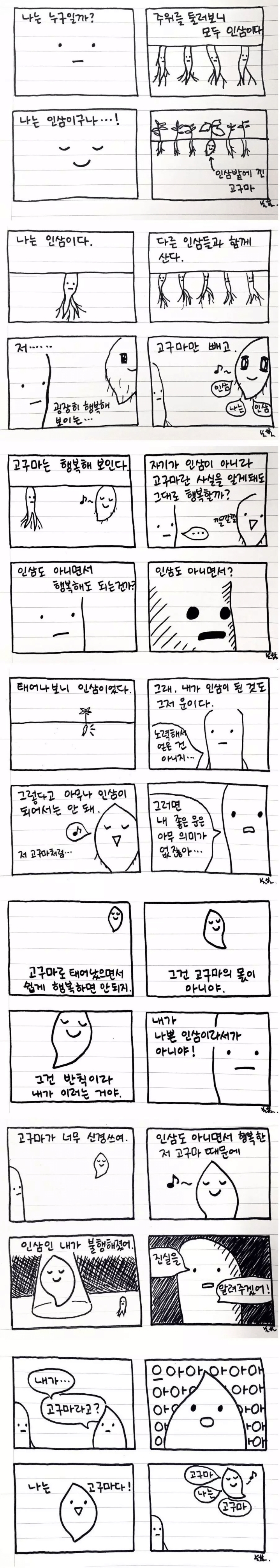 인삼밭의 고구마.JPG | 인스티즈