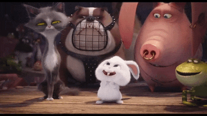 마이펫의 이중생활에서 핵귀여운 스노우볼.gif | 인스티즈