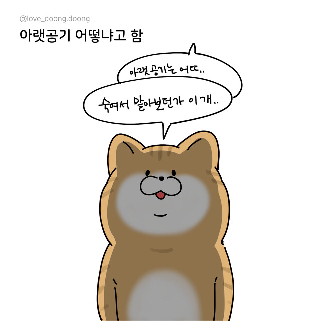 키작은 애들 특징 | 인스티즈