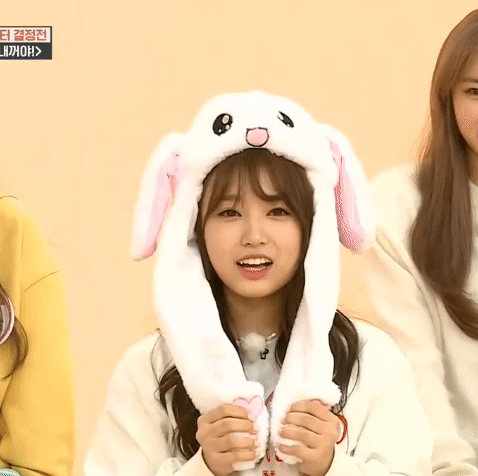 끼어버린 김나코ㅋㅋㅋㅋㅋㅋㅋㅋㅋㅋ (아이즈원) | 인스티즈