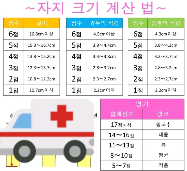  남자의 성기 크기 계산법 | 인스티즈