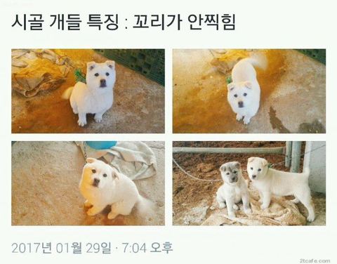 찐 시골 특징.jpg | 인스티즈