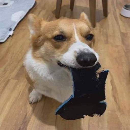 역지사지 | 인스티즈