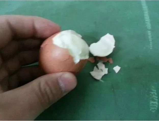 군필 눈에는 계란 후라이.jpg | 인스티즈