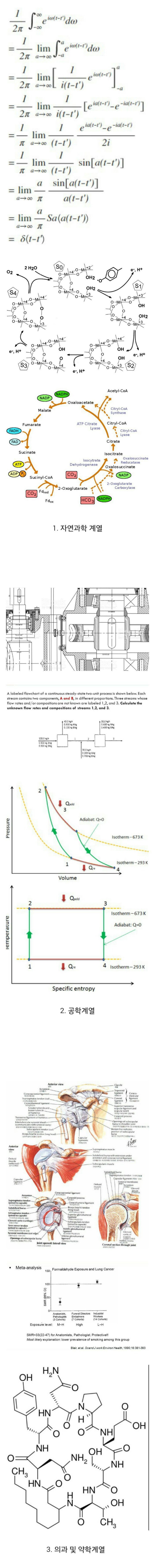 만약 여러분이 이과라면 선택할 분야는? | 인스티즈