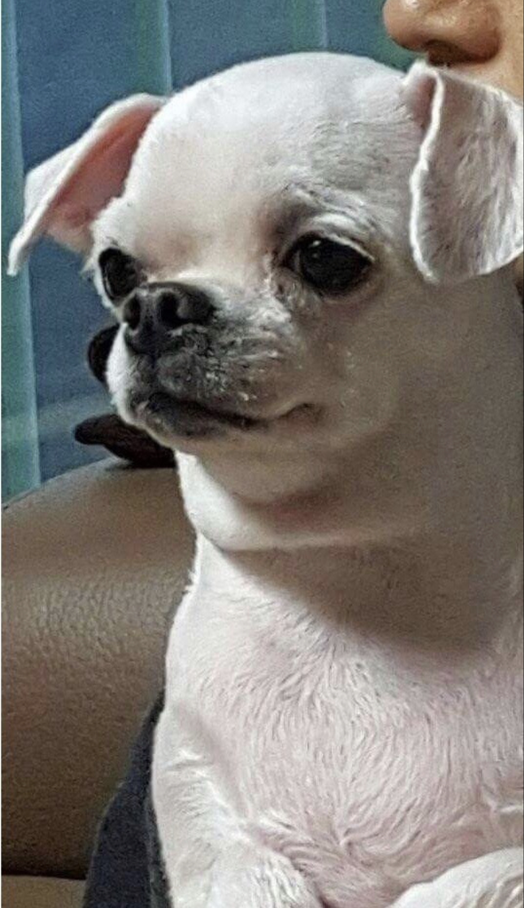 백종원 와우 아이디.jpg | 인스티즈