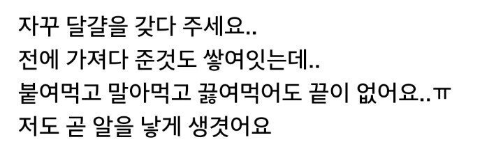 양계장 옆집 사는 사람의 고민 | 인스티즈