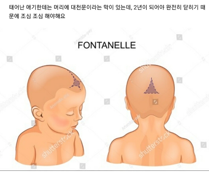 갓난애기 머리 함부로 만지면 안되는 이유 | 인스티즈
