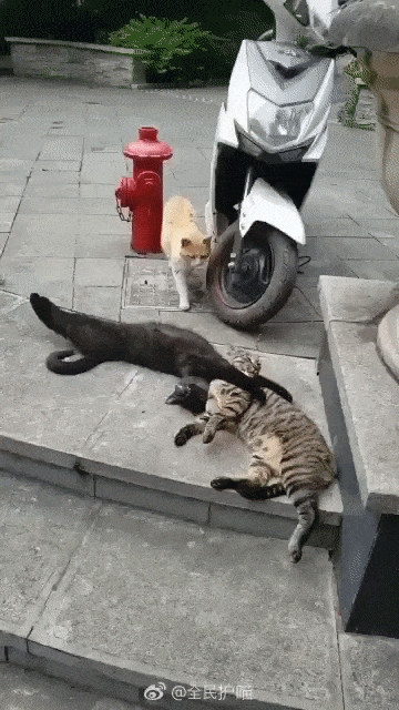 불륜 현장 적발.gif | 인스티즈