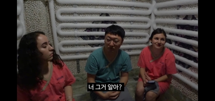 어서와 충주시는 처음이지? 두유노우 신미양요? | 인스티즈